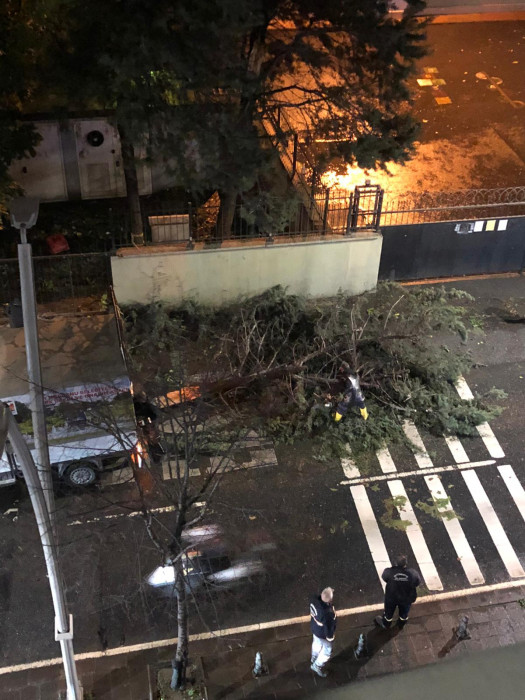 İstanbul'da Lodos 4 Can aldı