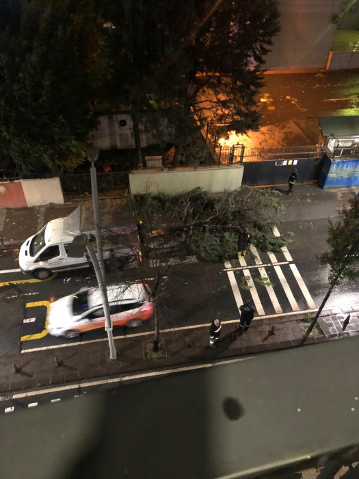 İstanbul'da Lodos 4 Can aldı