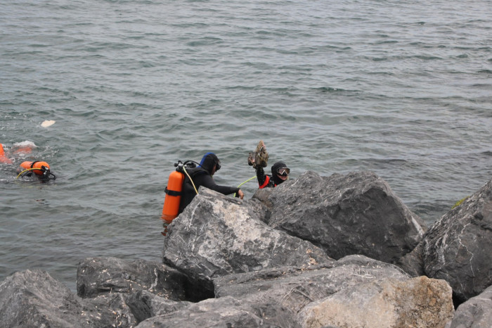 Zeytinburnu'nda kıyı ve deniz dibi temizliği yapıldı