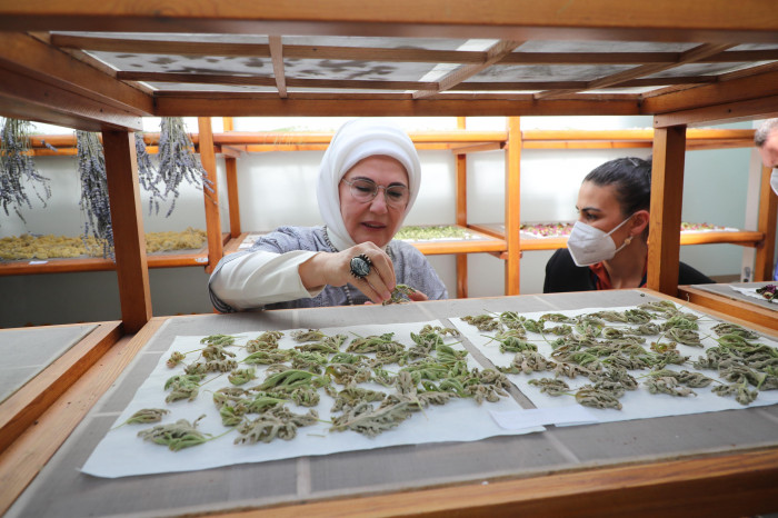 Emine Erdoğan Hanımefendi Zeytinburnu'nda