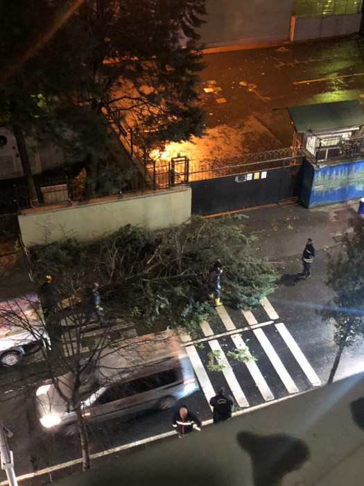 İstanbul'da Lodos 4 Can aldı