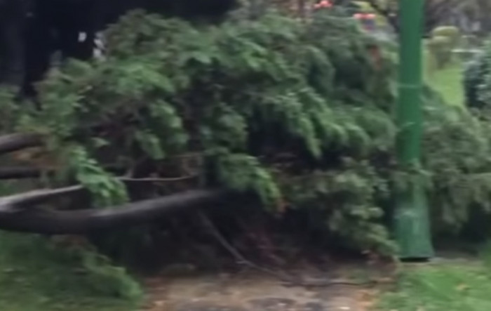 İstanbul'da Lodos 4 Can aldı