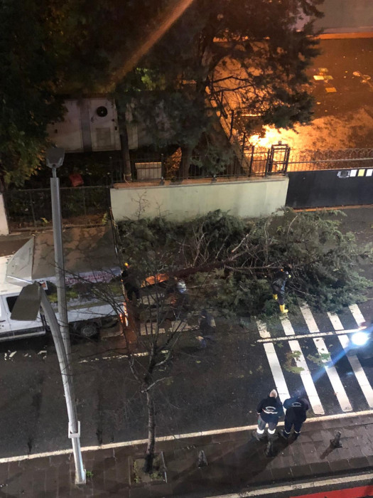 İstanbul'da Lodos 4 Can aldı