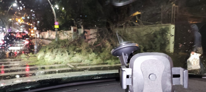 İstanbul'da Lodos 4 Can aldı